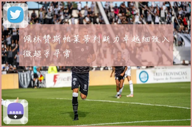 佩林赞斯帕莱蒂判断力卓越细致入微超乎寻常