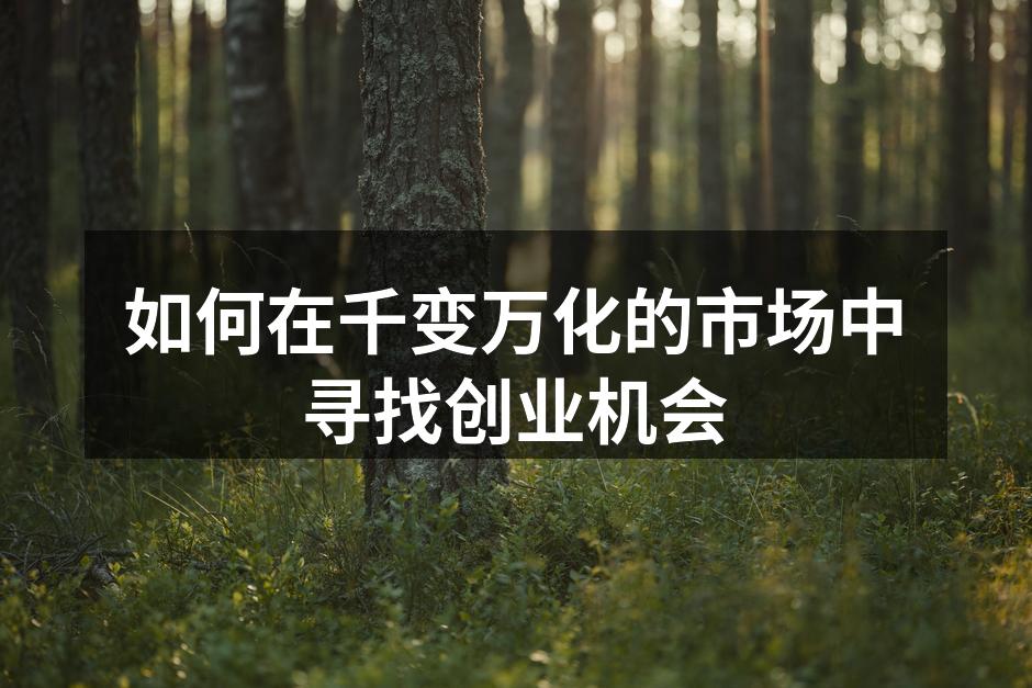 如何在千变万化的市场中寻找创业机会